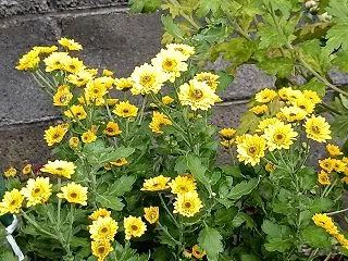 この頃は結構忙しい