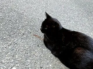 ふところ事情❔たいりょくてきな事❔どっち…