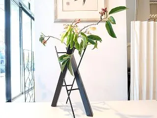 やってみないとね
