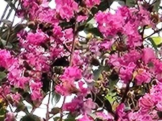 今日の一言 ～悲しい話～