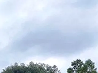 今日の万歩計