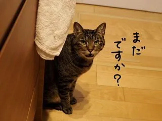 マヨビーム。