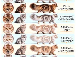 AIによるカラーパターン紹介。