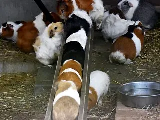 2026-10-12 のんほいパーク 1