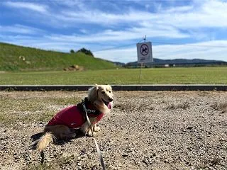 暑いのがとまらない