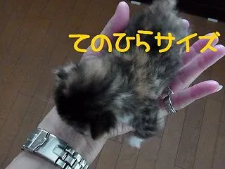 おめでとう！２歳♪ヽ(゜▽、゜)ノ