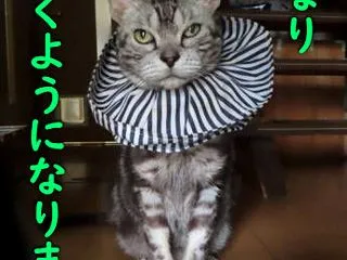 かなり・・開くようになりました