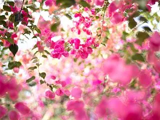 「いつかではなく今」宮古島プレゼント企画…