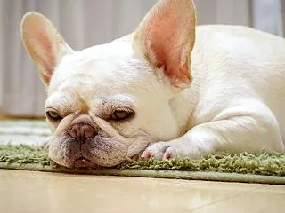 【不登校】最も子どものエネルギーを奪うも…