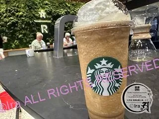 日本未販売スタバのマカダミアドリンクシリ…