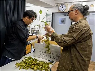秋の収穫！ 291/365 10月19日…