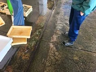 ゴミ