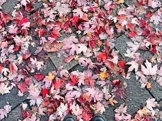 ◎ホリ散歩〜町中編〜◎