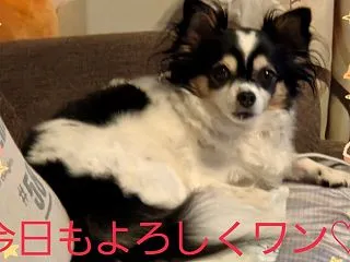 違う所を疑ったら…まさかの(゜ロ゜;
