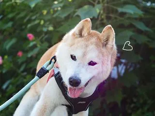 庭で休憩♪