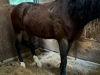 手は四角じゃないよ