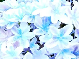 老いの覚悟と生き方Ⅱ（5650回記念）（…