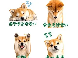 「玉手箱」が出てきた！Jasy！と楽しむ…
