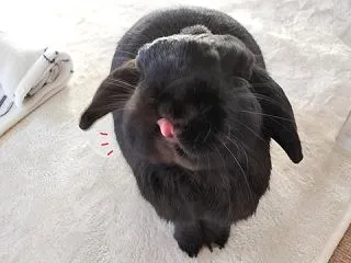 人生の先輩。