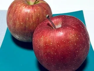 りんごが主食のゲイの暮らし