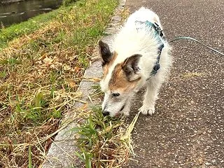 お楽しみの計画は考えるところから楽しいの…