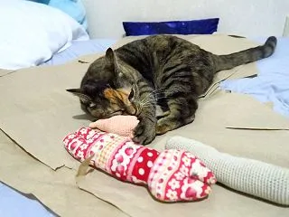 ギューッ出た(*´-`*)