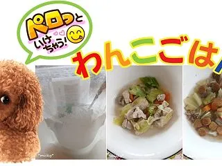 わんこご飯＊カロリー計算はAIで簡単スッ…