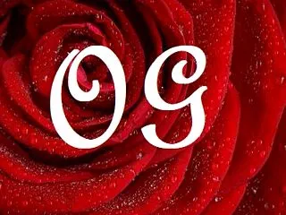 【宝塚OG】『踊る!さんま御殿!!』｜初…