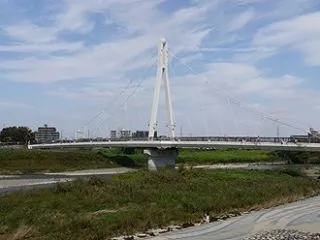 浅川の堤防から高幡不動へぶらぶら散歩