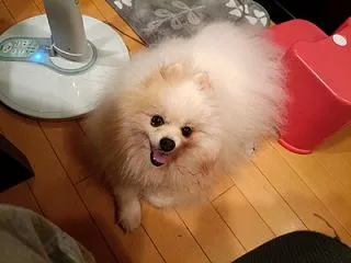 ちょっと哀しいですけど･･