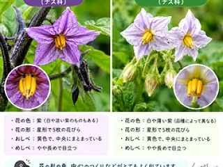 こども百科事典か？(笑)