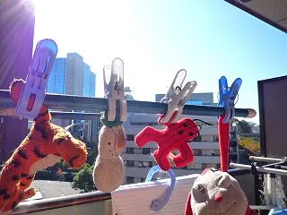拝啓、時が流れます