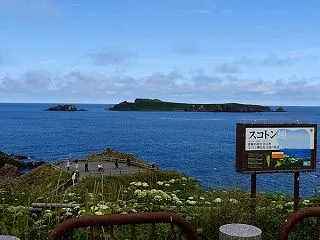 礼文島北端のスコトン岬の絶景と昆布ソフト…