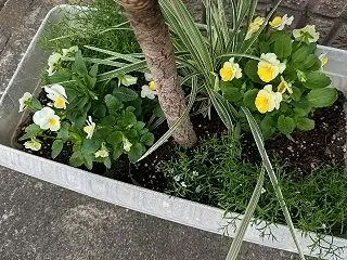 年金額をケアマネに伝えるべき？ギャザリン…