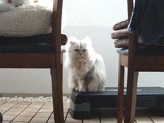 また同じようなこと