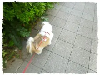 久し振りの～( ´艸｀)