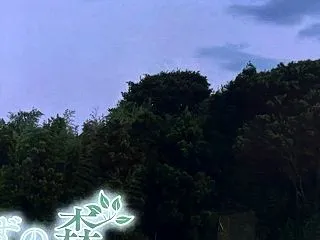 市民フェスは着々と+ＮＨＫ『いらずの森 …