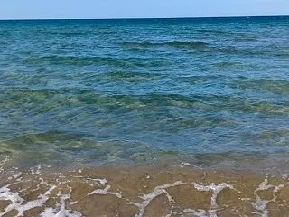 １年前の今日からの付き合い 肺がん 
