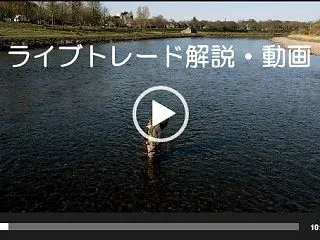 保護中: 日経225先物&FX【…