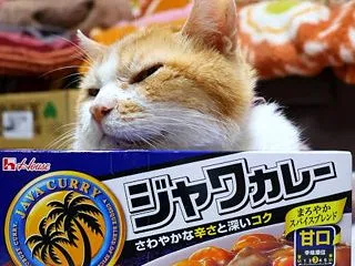 ハウス食品 ジャワカレー 甘口 185g