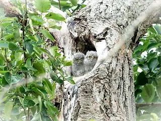 並んだ命