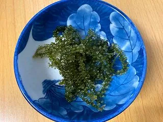 海ぶどうを久しぶりに食べたら美味しかった…