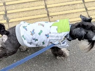 ひどい目にあったでつ！と次はルカの番でつ…