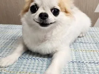 定休日