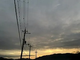 この懐き方どうしましょうねぇ。