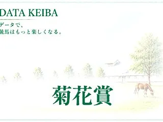 菊花賞の前に見たい｜京都芝3000m・外…
