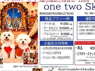 12月12日(土)13日(日)one t…