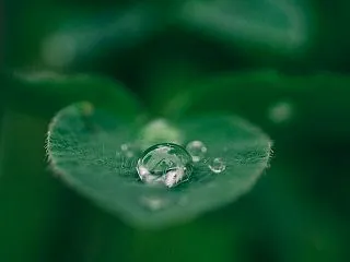 進歩的知識人になる方法