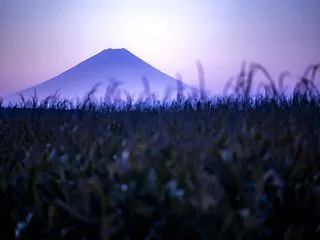 富士見の富士