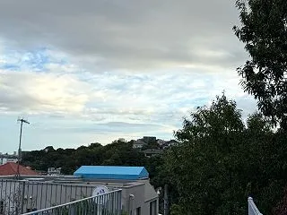 真夏日予報